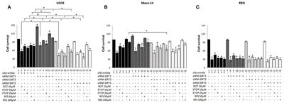 Sirtuin Family Members Selectively Regulate Autophagy in Osteosarcoma and <mark class="highlighted">Mesothelioma Cells</mark> in Response to Cellular Stress